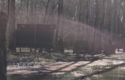 0 Lee Rd 177, Aubrey, AR 72360