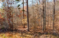 0 Kingston hwy, Kingston, GA 30145