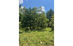 0 Thomson Highway, Warrenton, GA 30828