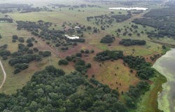 9365 Bauer Road, Fayetteville, TX 78940