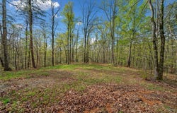 287 Lookout Valley Trail, Talking Rock, GA 30175
