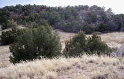 Red Creek Springs Road lot: 2, Pueblo, CO 81005