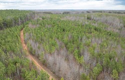 Darlington Heights, Cullen, VA 23934