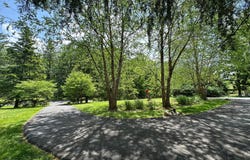 11501 SKIPWITH LANE, POTOMAC, MD 20854