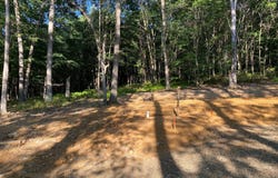 2.28 AC THORN BOTTOM, LOST RIVER, WV 26810