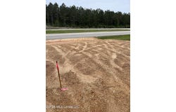 U.S. 49, Brooklyn, MS 39425