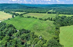 Atkins, AR 72823
