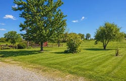 19071 Highway 32, Licking, MO 65542