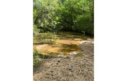 000 hwy 438, Mt Hermon, LA 70450