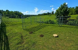 29.47 acres Gumm Springs Rd, Magnolia, KY 42757