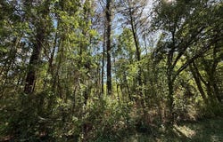 1301 Ausborn, Picayune, MS 39466