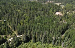 NNA Tanglewood Dr, Priest River, ID 83856