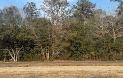 120 Rough Horn Road, Evergreen, NC 28438