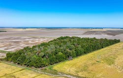 highway 367, Swifton, AR 72471