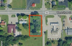 607 Shaw Street, Howard City, MI 49329