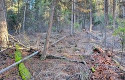 TBD LUNDIMO MEADOW RD, CURLEW, WA 99118