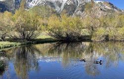 71 Sunshine, Mammoth Lakes, CA 93546