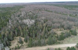 38th Road, Rapid River, MI 49878-0000