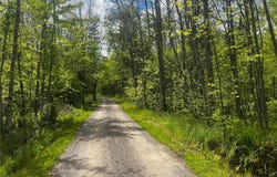 Tbd State Hwy 65, Ball Bluff Twp, MN 55752