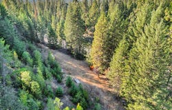 45xx 292 Hwy, Springdale, WA 99173