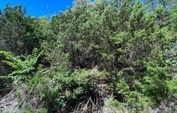 12 Oak  LN, Holiday Island, AR 72631