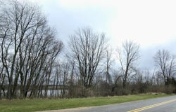 Tbd N Derby Road, Six Lakes, MI 48886