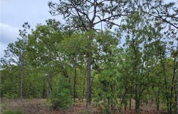 844 E Jinnita Street, Hernando, FL 34442