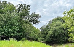 Deer Haven Tract 4 County Road 265, Gatesville, TX 76528