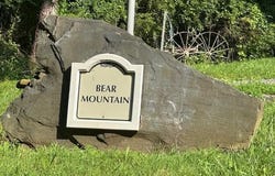 0 Bear Mountain Road, Ranger, GA 30734