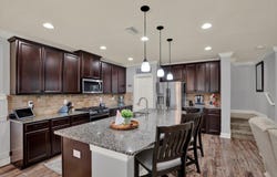 19272 ROSEATE Drive, LUTZ, FL 33558