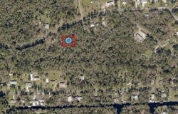 RIVER ROAD, ASTOR, FL 32102