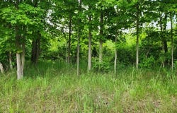 0 Burlington Turnpike, Towanda, PA 18848