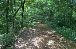 690 Adams Cemetery Rd, Liberty, KY 42539