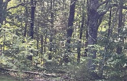 2519 Greers Ferry Rd, Greers Ferry, AR 72067