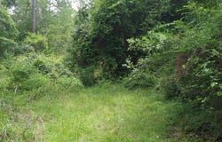 703 Parrish Avenue, Sparks, GA 30612