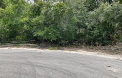 Tbd Lot 58 MALAUKA RADIAL TRAIL, OCKLAWAHA, FL 32179