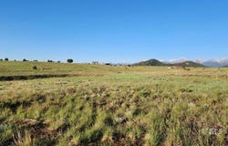 TBD L R Path, Cotopaxi, CO 81223