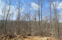 Hines Road, Camden, MS 39045