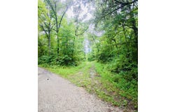 Collins Turnpike, Deer Lodge, TN 37726