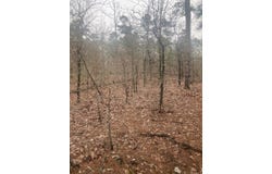 Hot Springs Village, AR 71909