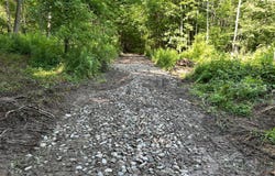 Lot 4 Mud Run Rd, Addison, NY 14801