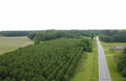 NC HWY. 904, Fairmont, NC 28340