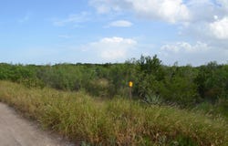 Los Centenarios lot: 91, Laredo, TX 78043