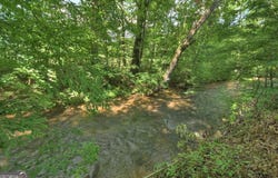 4527 Gates Chapel, Ellijay, GA 30540
