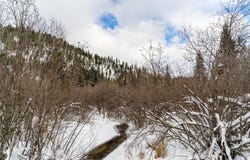 Nhn E Fisher Road, Libby, MT 59923