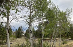 256 Bandana Road, Hartsel, CO 80449