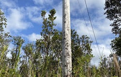 KALEPONI DR, Volcano, HI 96785