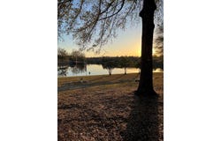 4836 county road 15, Union Springs, AL 36089