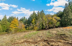 S 4th Dr, Ridgefield, WA 98642