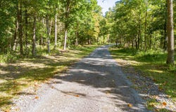 708 Johnson Road, Salem, KY 42078
